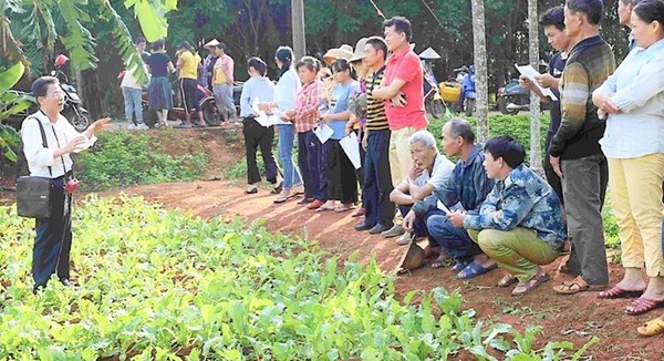海口琼山区把新时代文明实践活动“搬到”田间地头 助村民脱贫攻坚