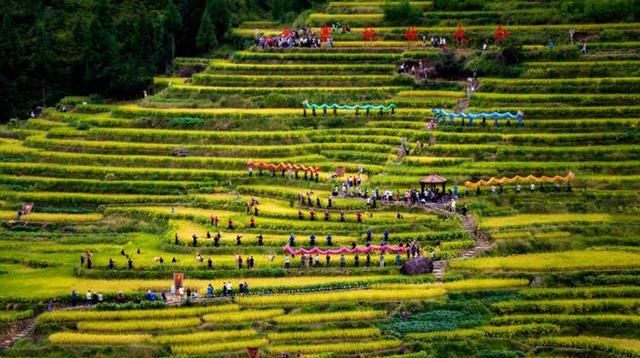郑坑乡：景宁最美田园 景如画