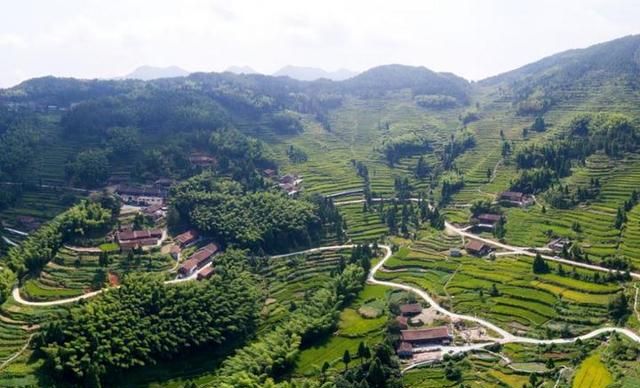郑坑乡：景宁最美田园 景如画