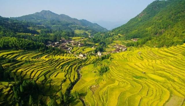 郑坑乡：景宁最美田园 景如画