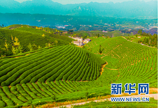 武陵山区脱贫摘帽县里访脱贫