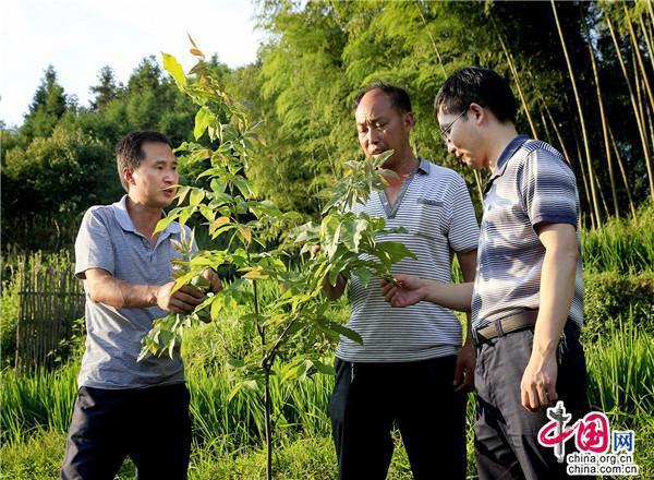 湖南绥宁：产业就业双保障 群众增收渠道多