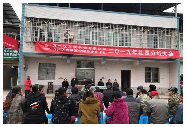 分红了！万州46户村民笑得合不拢嘴！
