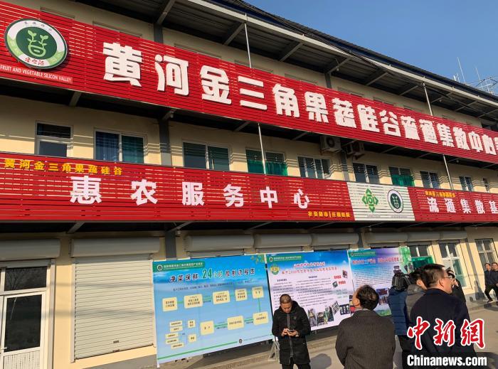 曲沃县黄河金三角水果蔬菜产业硅谷流通集散中心筹备处。　任丽娜 摄