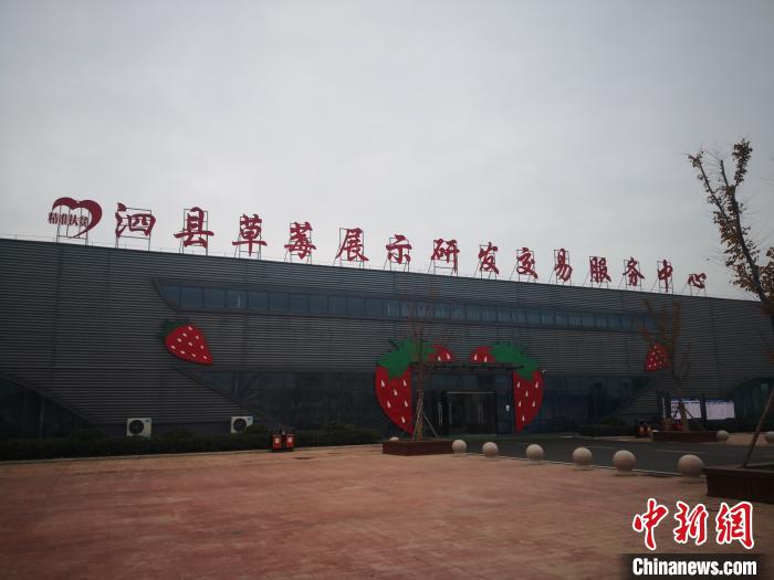 图为建设中的草莓交易服务中心 刘亮 摄