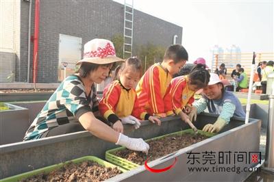 石龙兴龙社区邻里一起种绿色瓜果蔬菜，吃得放心玩得开心