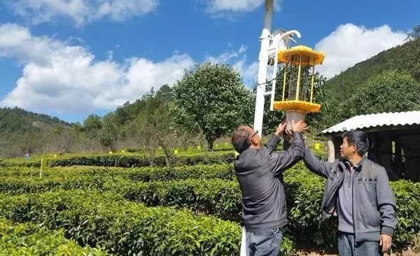 《农作物病虫害防治条例》马上来了，绿色防控技术企业或将受益