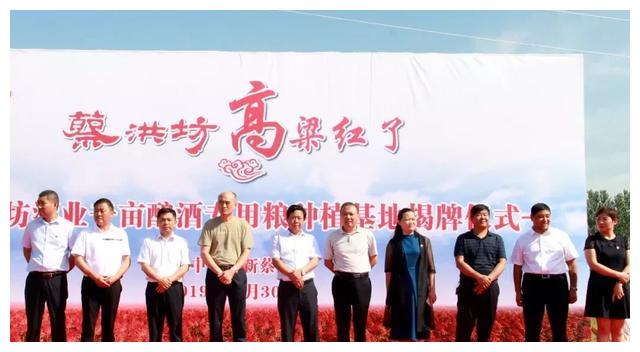 新蔡县蔡洪坊酒业，千亩酿酒专用粮种植基地揭牌仪式举行