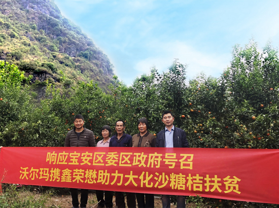 “爱心直采大化柑桔定点采购基地”正式成立