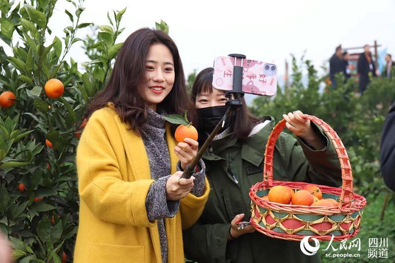 “名城资中·血脉香橙”中国·资中第四届血橙节开幕