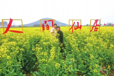 油菜花海引客来.jpg