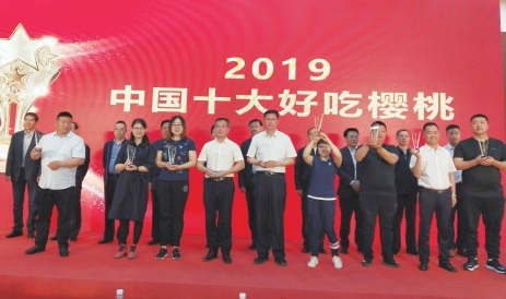 大连樱桃别样红