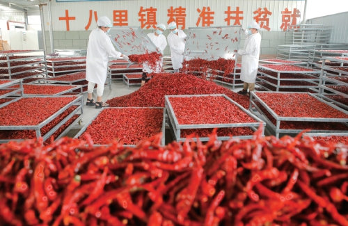 河南开封：凝心聚力决战决胜脱贫攻坚